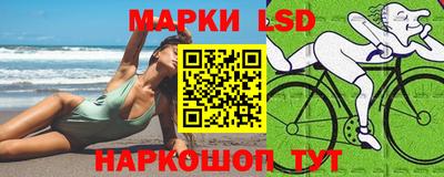 a pvp Кингисепп