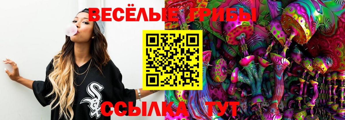 Псилоцибиновые грибы Psilocybine cubensis Зеленогорск