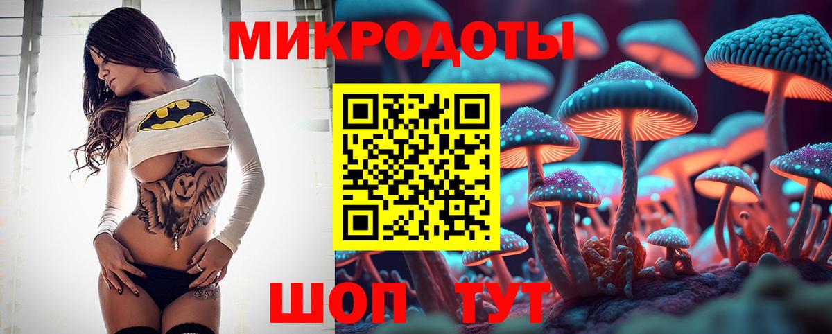 Зеленогорск  закладки  Вход с VPN  Галлюциногенные грибы мицелий 